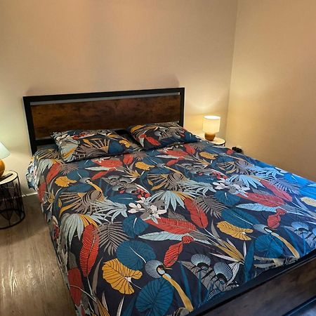 Residence Bois Du Bouchet, Appartement Vue Montagne, Calme, Parking Gratuit, Proche Centre 샤모니 외부 사진