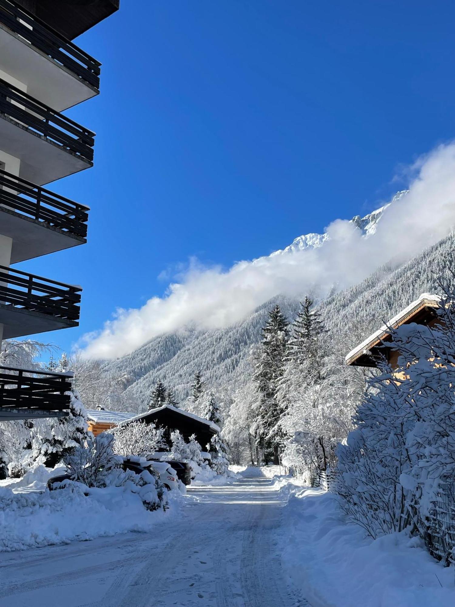 Residence Bois Du Bouchet, Appartement Vue Montagne, Calme, Parking Gratuit, Proche Centre 샤모니 외부 사진