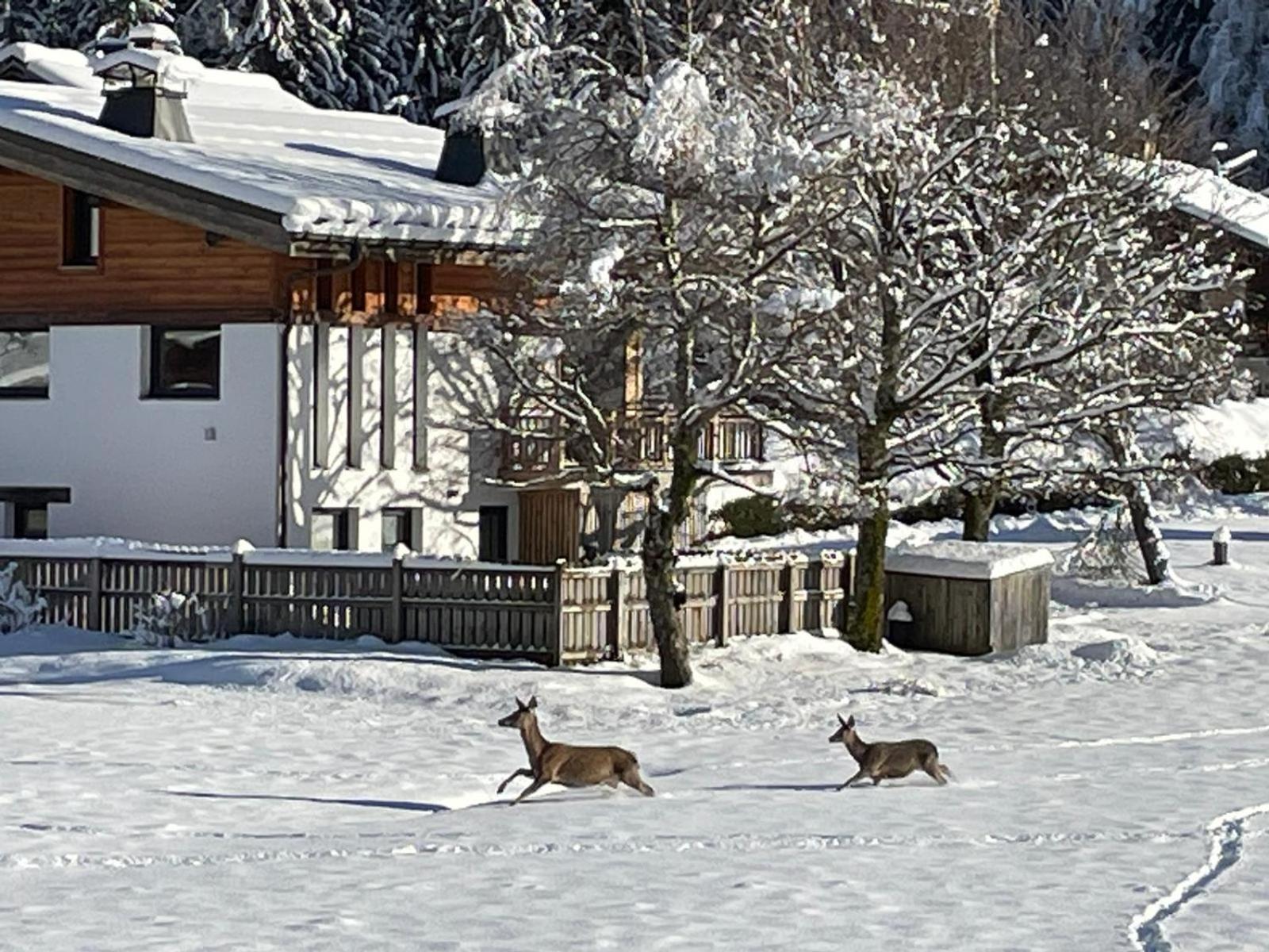 Residence Bois Du Bouchet, Appartement Vue Montagne, Calme, Parking Gratuit, Proche Centre 샤모니 외부 사진