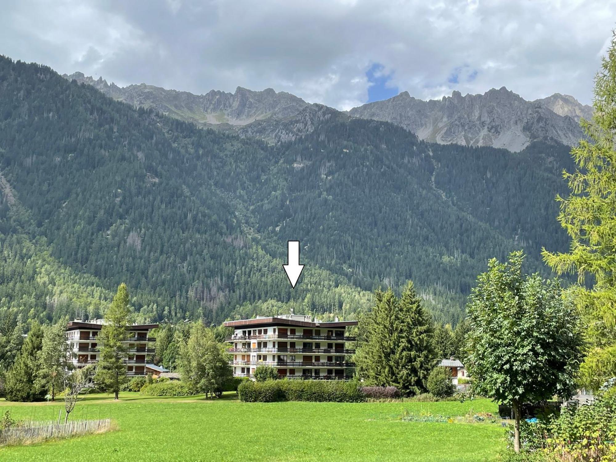 Residence Bois Du Bouchet, Appartement Vue Montagne, Calme, Parking Gratuit, Proche Centre 샤모니 외부 사진
